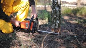 Lawn Irrigation Installation and Maintenance in Greenfield, CA